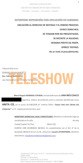 El documento que Hermida presentó en Tribunales para pedir la nulidad de la causa que Juan Darthés le inició a Anita Co