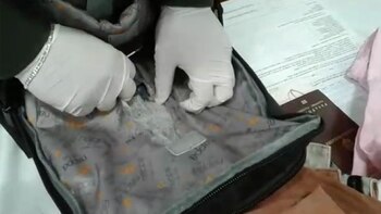 La mujer tenía camuflada la