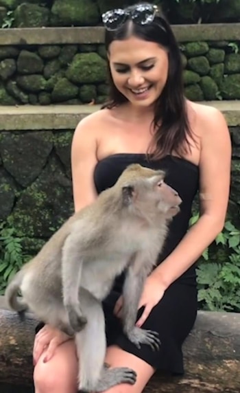 En un principio, el mono parecía no mostrar ningún interés por la turista (Foto: Especial)