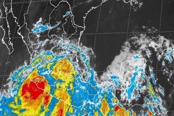 El organismo de la Comisión