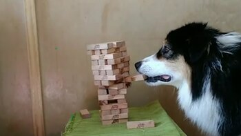 Mary felicitó a la pequeña