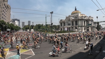 Decenas de ciclistas pedalearon desnudos