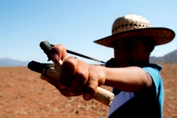 Los pequeños están dispuestos a