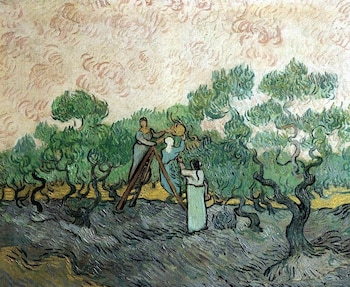 “Los recolectores de olivas”, de