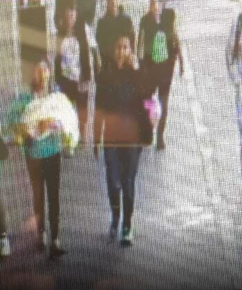 Una foto de las cámaras