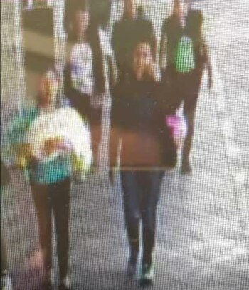 Una foto de las cámaras