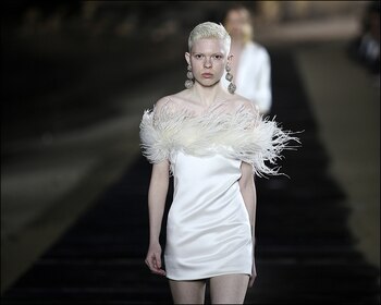 Plumas y diseños en blanco.