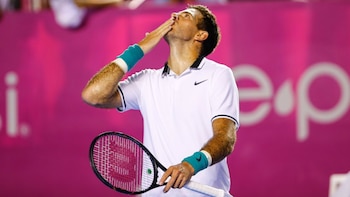 Del Potro buscará revancha en