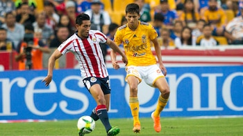 Damm no ha tenido mucha