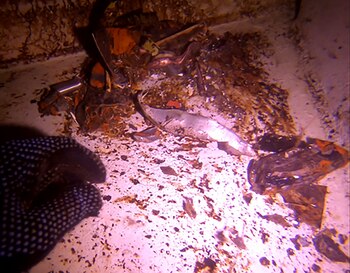 Material dañado dentro de uno