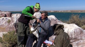 La crisis climática, la contaminación