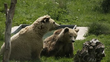 Tomi fue quien se acercó