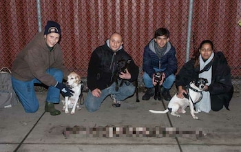 El comando urbano antirratas se