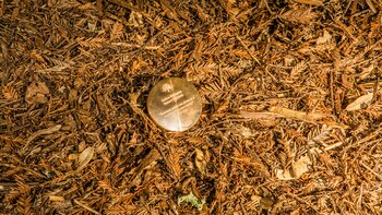 Un marcador en el piso