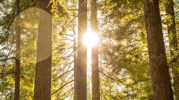 Christie Hemm Klok para The