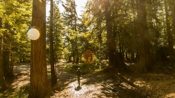 Sandy Gibson, director ejecutivo de