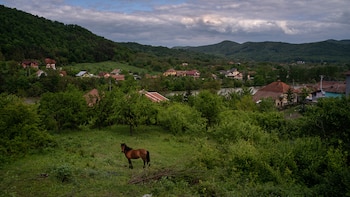 Todd Heisler para The New