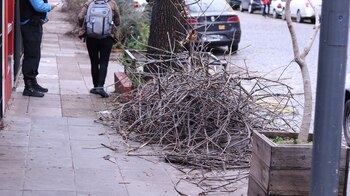 Lugar donde fue encontrado el