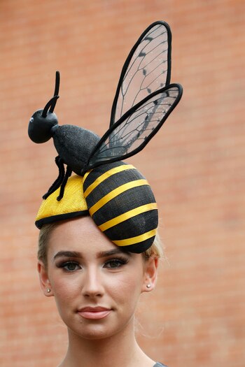 Un extravagante fascinator en forma