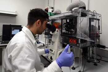 Los hombres siguen siendo mayoría