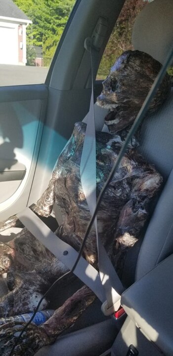 “Jeffy” fue confundido por las