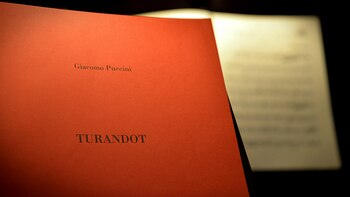 Foto: Gustavo Gavotti