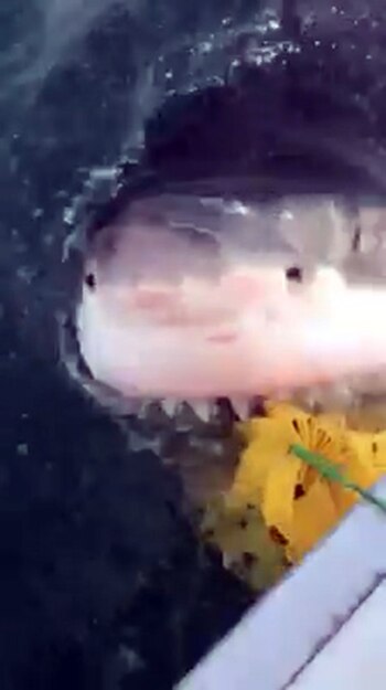 El grupo de pescadores participaba