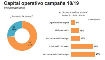 Respecto a la campaña pasada,