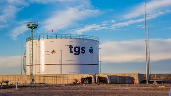 Los socios de la empresa