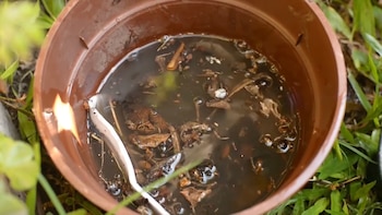 Hay poner foco en la