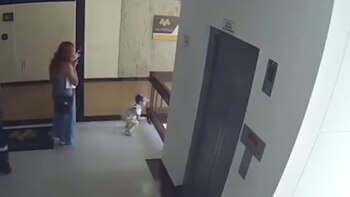 La pequeña se asomó entre