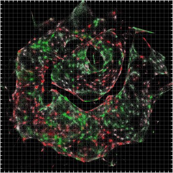 Microscopía del ADN Credit V