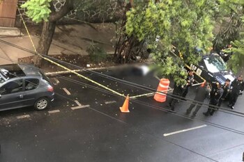 Según los informes dicen que