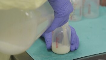 Personal del Sardá facilita a