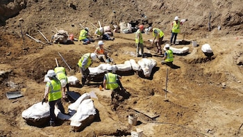 Las lluvias han complicado el cráter donde los paleontólogos trabajan (Foto: CBS)