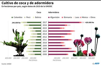 Adormidera, uno de los nombres