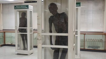 Existe una campaña para limpiar