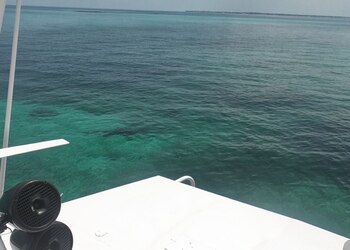 Jace Holton, una médica originaria