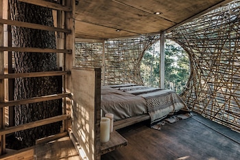 La cama se ubica frente