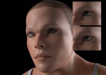 (www.tollfreeforwarding.com)