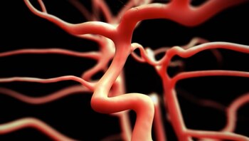 La disminución del flujo sanguíneo