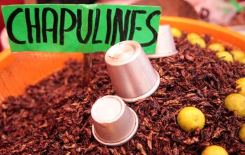 Los chapulines han formado parte