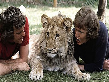 Christian, el león comprado en