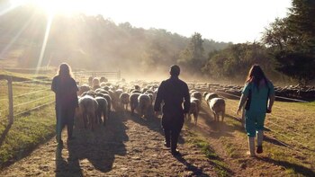 El centro que fue asaltado