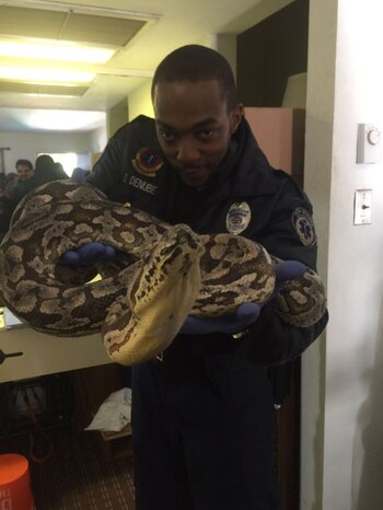 La expectativa sobre su futuro