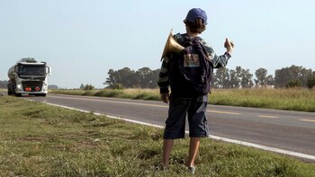 Delfín en busca de sus