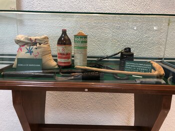 Herramientas para cosechar marihuana (Foto: