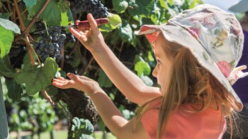 Los más chicos pueden realizar
