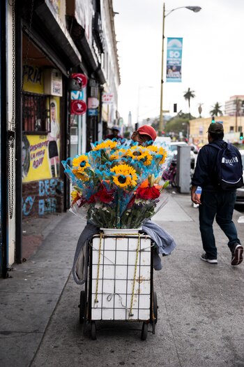 Un vendedor de flores atravesó