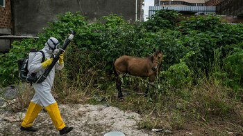 Un agente de salud municipal